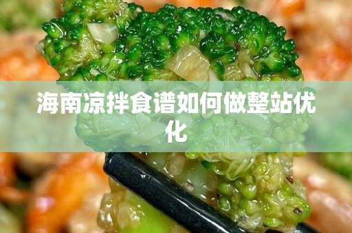 海南凉拌食谱如何做整站优化