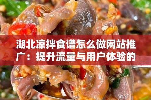 湖北凉拌食谱怎么做网站推广：提升流量与用户体验的全面指南
