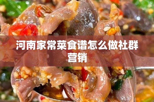 河南家常菜食谱怎么做社群营销