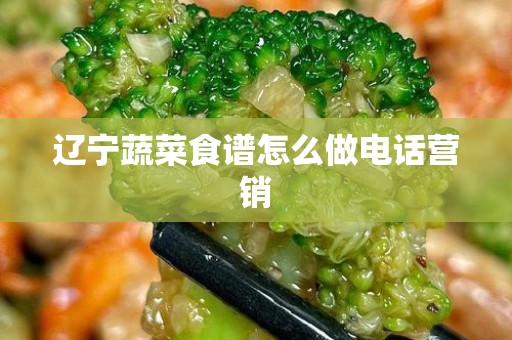 辽宁蔬菜食谱怎么做电话营销