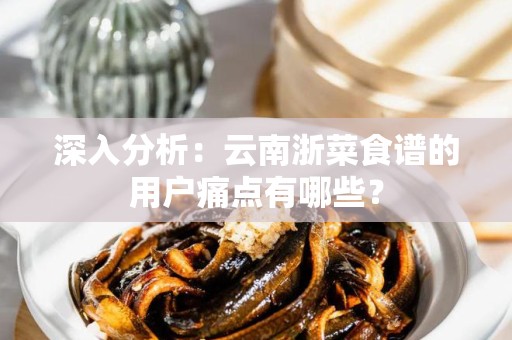 深入分析：云南浙菜食谱的用户痛点有哪些？