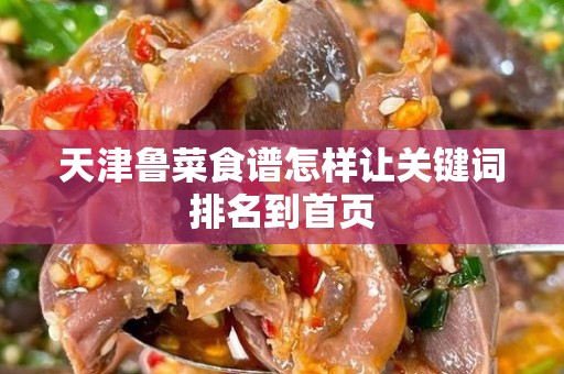 天津鲁菜食谱怎样让关键词排名到首页