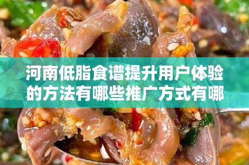 河南低脂食谱提升用户体验的方法有哪些推广方式有哪些