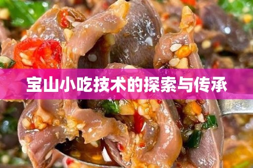 宝山小吃技术的探索与传承