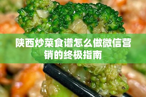 陕西炒菜食谱怎么做微信营销的终极指南