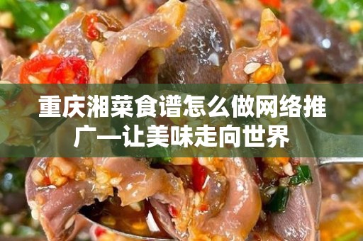 重庆湘菜食谱怎么做网络推广—让美味走向世界