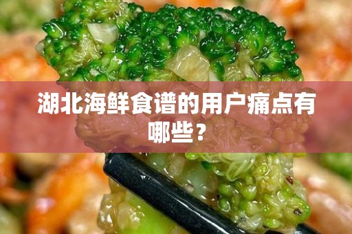 湖北海鲜食谱的用户痛点有哪些？