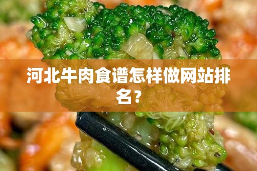 河北牛肉食谱怎样做网站排名？