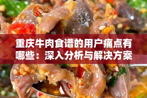 重庆牛肉食谱的用户痛点有哪些：深入分析与解决方案