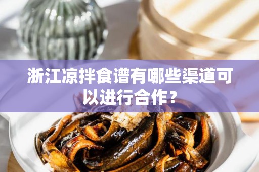浙江凉拌食谱有哪些渠道可以进行合作？