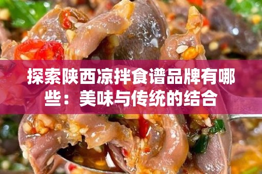 探索陕西凉拌食谱品牌有哪些：美味与传统的结合