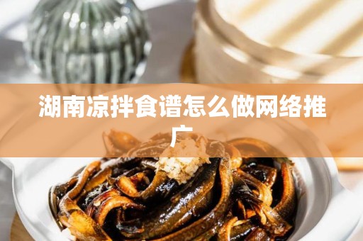 湖南凉拌食谱怎么做网络推广