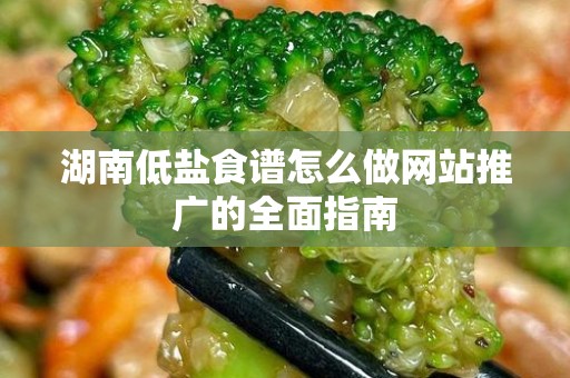 湖南低盐食谱怎么做网站推广的全面指南