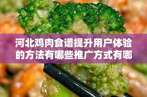 河北鸡肉食谱提升用户体验的方法有哪些推广方式有哪些