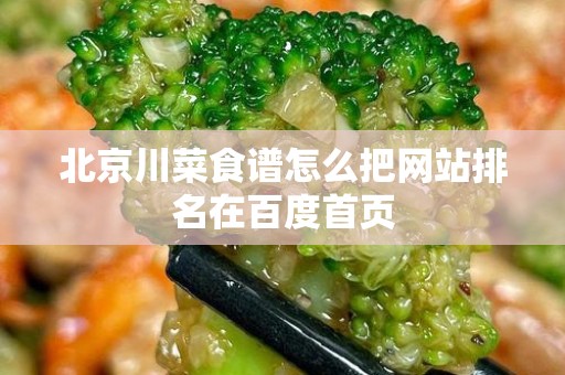 北京川菜食谱怎么把网站排名在百度首页