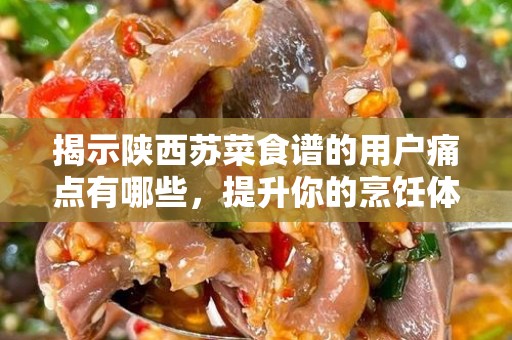 揭示陕西苏菜食谱的用户痛点有哪些，提升你的烹饪体验
