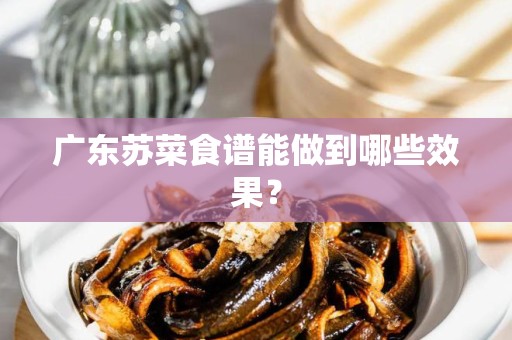 广东苏菜食谱能做到哪些效果？