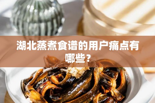 湖北蒸煮食谱的用户痛点有哪些？