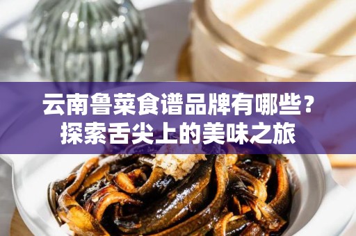 云南鲁菜食谱品牌有哪些？探索舌尖上的美味之旅