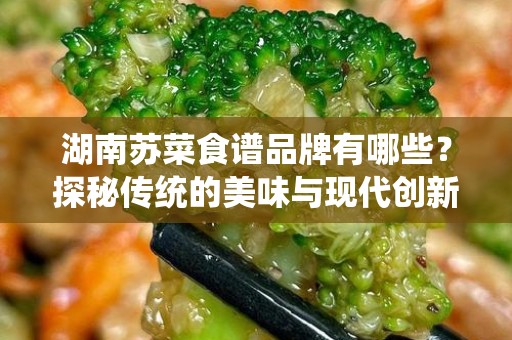 湖南苏菜食谱品牌有哪些？探秘传统的美味与现代创新