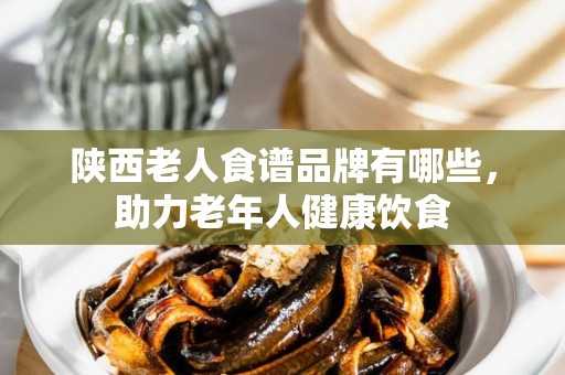 陕西老人食谱品牌有哪些，助力老年人健康饮食