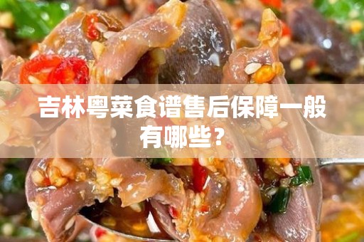 吉林粤菜食谱售后保障一般有哪些？