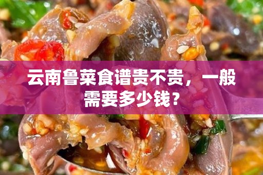 云南鲁菜食谱贵不贵，一般需要多少钱？