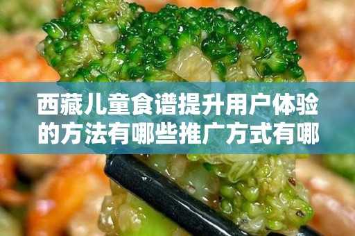 西藏儿童食谱提升用户体验的方法有哪些推广方式有哪些