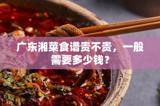 广东湘菜食谱贵不贵，一般需要多少钱？