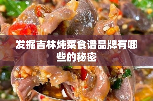 发掘吉林炖菜食谱品牌有哪些的秘密