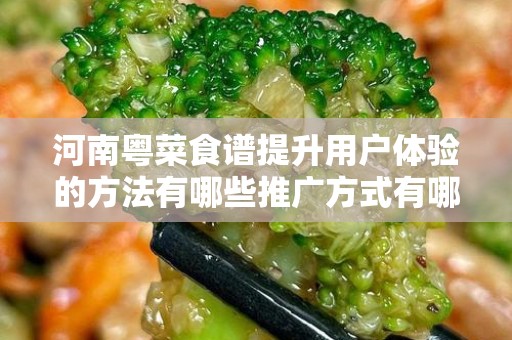 河南粤菜食谱提升用户体验的方法有哪些推广方式有哪些