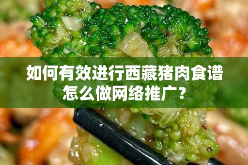 如何有效进行西藏猪肉食谱怎么做网络推广？