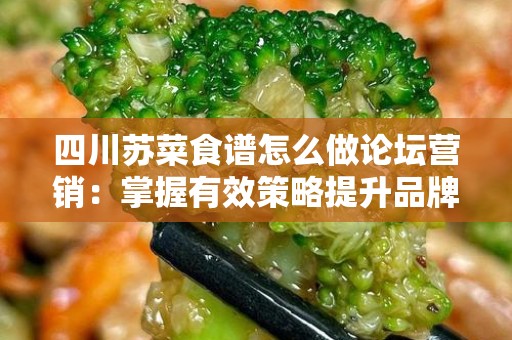 四川苏菜食谱怎么做论坛营销：掌握有效策略提升品牌知名度