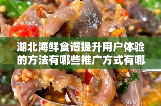 湖北海鲜食谱提升用户体验的方法有哪些推广方式有哪些