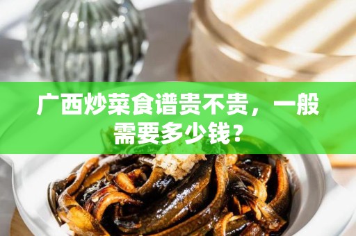 广西炒菜食谱贵不贵，一般需要多少钱？