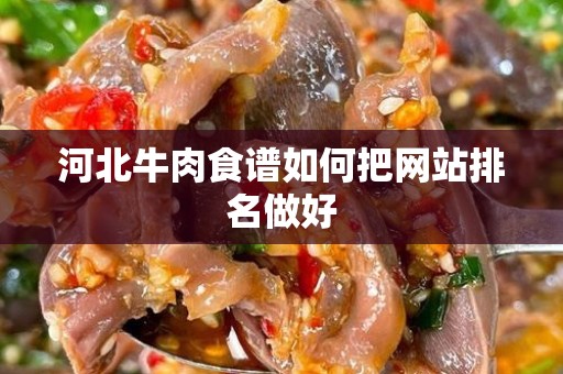 河北牛肉食谱如何把网站排名做好