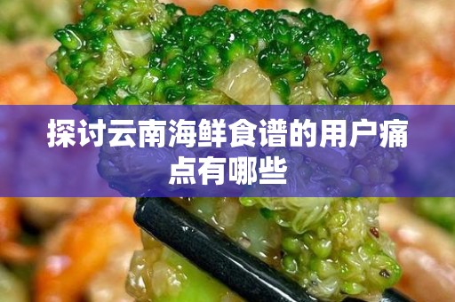 探讨云南海鲜食谱的用户痛点有哪些