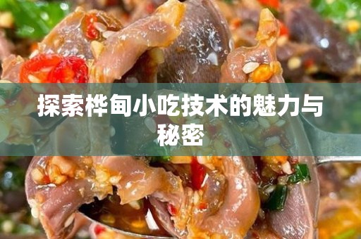 探索桦甸小吃技术的魅力与秘密