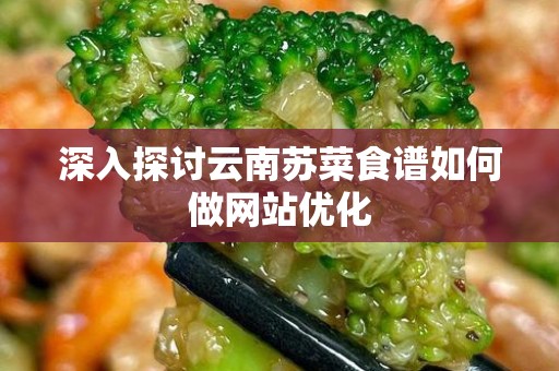深入探讨云南苏菜食谱如何做网站优化