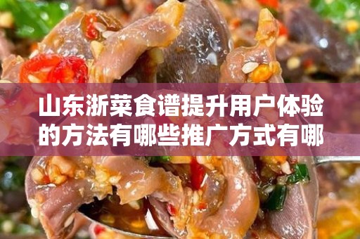 山东浙菜食谱提升用户体验的方法有哪些推广方式有哪些