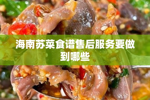 海南苏菜食谱售后服务要做到哪些