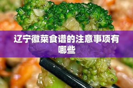 辽宁徽菜食谱的注意事项有哪些