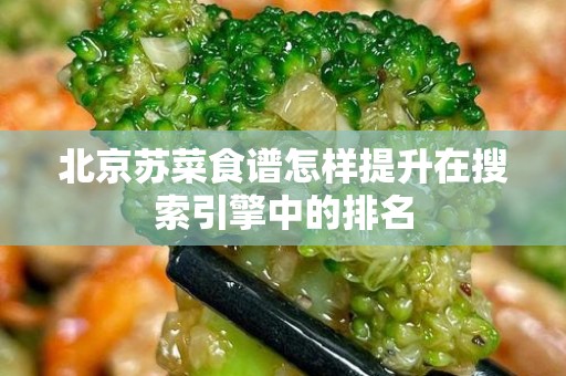 北京苏菜食谱怎样提升在搜索引擎中的排名