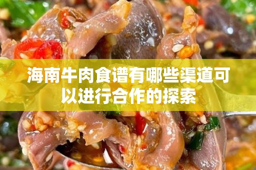 海南牛肉食谱有哪些渠道可以进行合作的探索