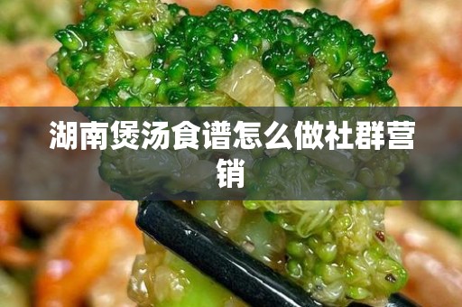 湖南煲汤食谱怎么做社群营销