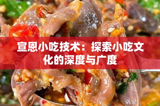 宣恩小吃技术：探索小吃文化的深度与广度