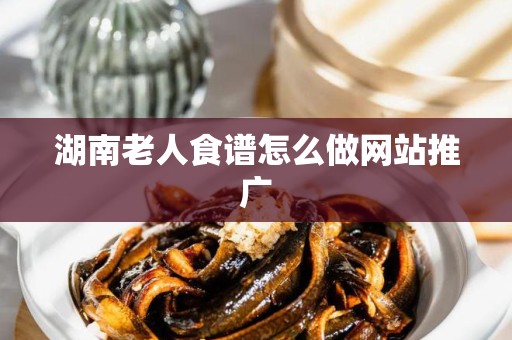 湖南老人食谱怎么做网站推广