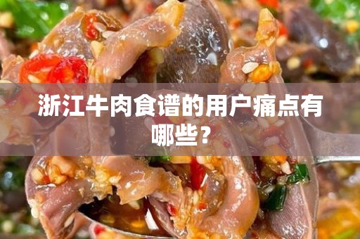 浙江牛肉食谱的用户痛点有哪些？