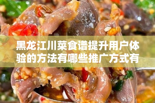 黑龙江川菜食谱提升用户体验的方法有哪些推广方式有哪些