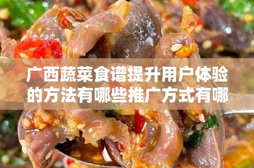 广西蔬菜食谱提升用户体验的方法有哪些推广方式有哪些